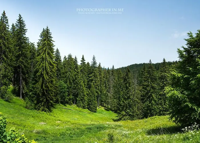 Отель Elina Пампорово